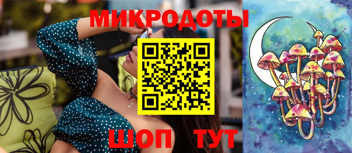 Галлюциногенные грибы Psilocybe Лысьва